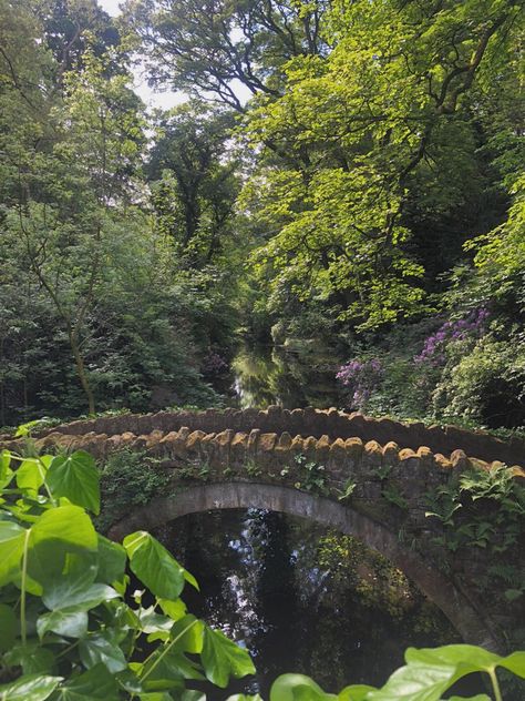 Cottagecore, summer aesthetic, bridge in the woods French Forest Aesthetic, Cottagecore Woods Aesthetic, Vicki Core Aesthetic, Fairy School Aesthetic, Jacquelyn Core Aesthetic, Aspen Core Aesthetic, Ivy Core Aesthetic, Colleencore Aesthetic, Sierra Core Aesthetic