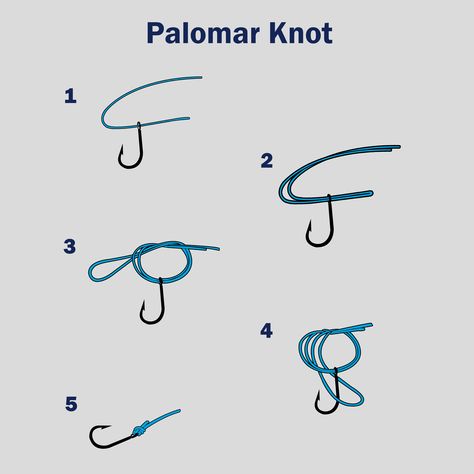 How to Tie a Palomar Knot Strongest Fishing Knots, Uni Knot, Palomar Knot, Different Types Of Lines, Clinch Knot, Types Of Lines, Best Knots, Knot Out, Overhand Knot