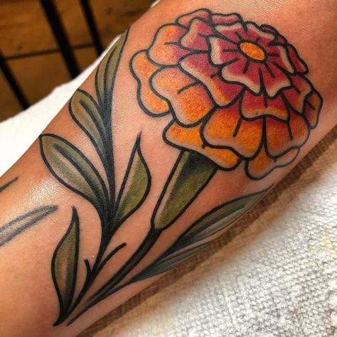 Cosmos Flower Tattoo Traditional, Marigold Elbow Tattoo, Marigold Tattoo Traditional, Neo Traditional Marigold Tattoo, American Traditional Monstera, Tradition Flower Tattoo, American Traditional Marigold Tattoo, Marigold Traditional Tattoo, Traditional Marigold Tattoo