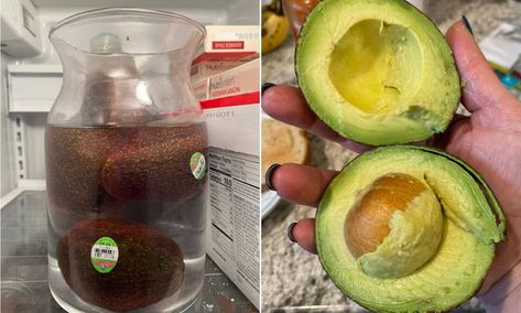 Foodies are rejoicing after discovering a 'game changing' hack to make avocados last up to two weeks in the fridge. Avocados In Water, Garlic Bread From Scratch, How To Store Avocado, Sandwich Hacks, Cheeseburger Wraps, Egg Hacks, Perfect Poached Eggs, Aussie Food, Piece Of Pizza