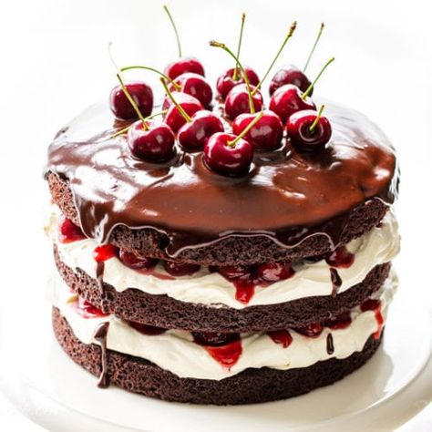 Black Forest Cake Recipe - Saving Room for Dessert Black Forest Cake Easy, Black Forest Cake Recipe, German Desserts, Baking Journal, Canning Cherry Pie Filling, Rich Chocolate Cake, Black Forest Cake, Warm Cake, Cherry Cake