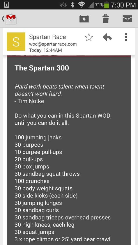 Spartan Race 300 workout Spartan Race Training Workouts, Spartan 300 Workout, Obstacle Race Training, Spartan 300, Tough Mudder Training, Spartan Workout, Spartan Race Training, 300 Workout, Sprint Race