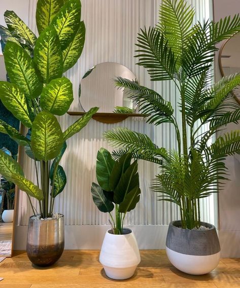 Evergreen Potted Plants, Plants Poisonous To Dogs, نباتات منزلية, Artificial Plants And Trees, Artificial Potted Plants, Basket Planters, Brass Planter, Evergreen Plants, Nature Indoors