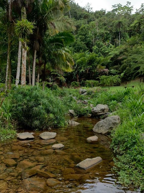 Island Fantasy Aesthetic, Abandoned Island Aesthetic, Island Survival Aesthetic, Fantasy Island Aesthetic, Stranded On An Island Aesthetic, Deserted Island Aesthetic, Atlantis Aesthetic, Island Forest, Abandoned Island