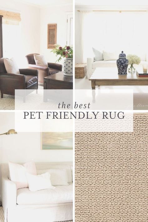 Pet Friendly Rugs, Soft Jute Rugs, Pet Friendly Living Room, Kid Friendly Living Room, Kid Friendly Rugs, Neutral Rug Living Room, Family Room Rug, Julie Blanner, Affordable Area Rugs