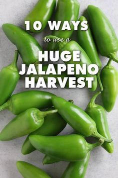 Pepper Harvest, Hot Pepper Recipes, Chili Pepper Recipes, Jalapeno Jelly, Jalapeno Pepper, Jalapeno Recipes, Hot Sauce Recipes, Harvest Recipes, Garden Veggies