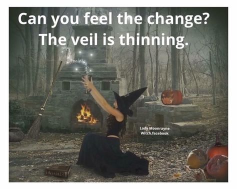 The veil is thinning The Veil Is Thinning, Veil Is Thinning, All Souls, Witches Brew, Witchy Woman, The Veil, Samhain, Halloween Season, Veil