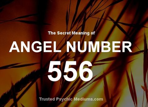 556 Angel Number Meaning, 556 Angel Number, Spiritual Understanding, Second Chakra, Twin Flame Reunion, Love Twins, Angel Number Meanings, Number Meanings, Angel Messages