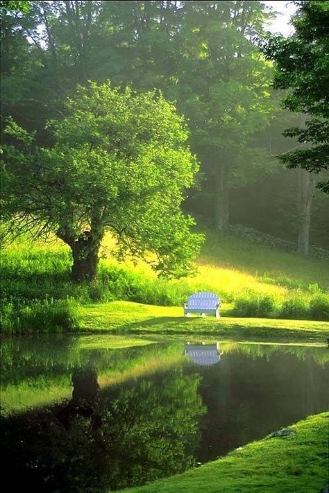 A hazy summer evening by the pond! Taman Air, France Photos, A Pond, Peaceful Places, Alam Yang Indah, Garden Cottage, A Park, Land Art, Lush Green