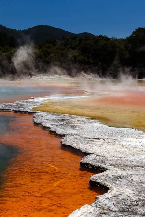 Rotorua New Zealand, Sacred Water, Travel Tickets, Rotorua, New Zealand Travel, Banff National Park, Travel Bucket List, Trip Planning, The Good Place