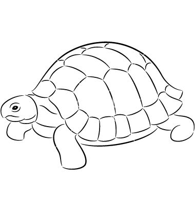 Tortoise on VectorStock Tortoise Mosaic Pattern, Tortoise Coloring Page, Tortoise Drawings, Cute Tortoise Drawing, Tortoise Art, Tortoise Drawing, Tortoise Tattoo, Turtle Coloring, Desert Tortoise