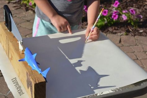 Letter S Activity: Sunshine Shadows Tracing- trace shadows onto paper Letter S Activity, Shadow Tracing, Shadow Drawings, Trace Art, Letter S Activities, Shadow Activities, Prek Crafts, Tracing Art, Tracing Activity