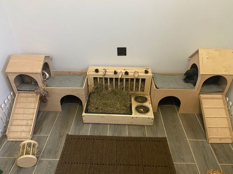 Diy Bunny Playground, Bunnies Home Ideas, Bunny Dig Box Ideas, Wooden Rabbit House, Bunny Home Set Up, Bunny Room Ideas, Diy Bunny Litter Box House Rabbit, Ikea Hol Bunny House, Multiple Rabbit Housing