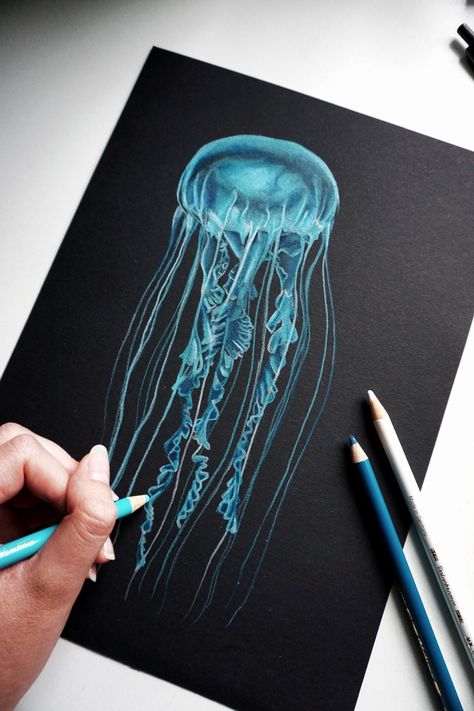 Jellyfish Drawing On Black Paper, Black Paper Drawing Colored Pencils, Things To Draw On Black Paper, Color Pencil On Black Paper, Watercolor On Black Paper, Painting On Black Paper, Jellyfish Drawing, Scratchboard Art, Beauty Drawings