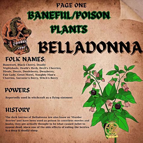 ## Be careful with these beauties! ☠️ (plantwitchery but hold the ouch) * **Not your average herb garden:** Plants like wolfsbane and nightshade are gorgeous, but SUPER poisonous! ‍♀️ Admire from afar! * **Respect the power:** These plants were used in rituals for protection or even curses in history. They're potent, so learn about them safely. * **Safety first!** NEVER ingest these plants or touch them without gloves. Kitchen herbs are your witchy plant friends! **Ever seen a plant tha... Deadly Plants, Poison Garden, Paganism Spells, Witch History, Witchy House, Pagan Crafts, Poisonous Plants, Witch Spell Book, Herbal Magic