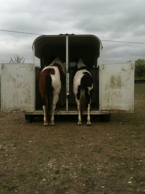 Horse Trailer Aesthetic, Horse In Trailer, Trailer Aesthetic, Aesthetic Horses, Film Reel, Film Reels, Horse Ranch, Horse Trailer, Barrel Racing