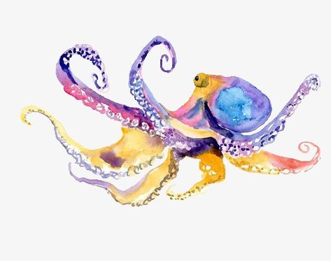 Squid Drawing, Octopus Artwork, Canvas Watercolor, Art Tutorials Watercolor, Octopus Tattoo, Octopus Art, Sunset Canvas, Watercolor Canvas, Sumi E