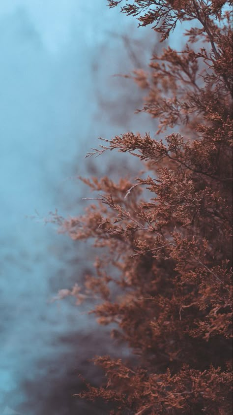 Lyrics Photo, Pretty Landscapes, Phone Wallpaper Design, Fall Wallpaper, Landscape Wallpaper, Cellphone Wallpaper, Nature Aesthetic, Scenery Wallpaper, Nature Wallpaper