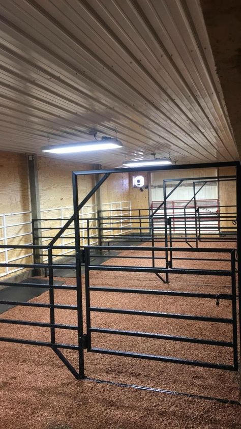 Show calf set up Show Barn Ideas Cattle, Show Cattle Barn Layout, Cattle Barn Designs, Show Cattle Barn, Small Barn Plans, Cattle Facility, Pigs Farm, Cattle Corrals, Cow Barn