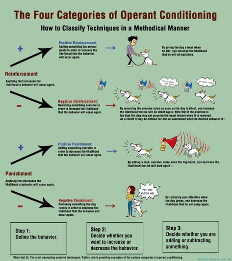 The Four Categories of Operant Conditioning | ZooSnippets Aba Strategies, Classical Conditioning, Bcba Exam, Teaching Psychology, Ap Psychology, Operant Conditioning, Behavioral Psychology, Dog Body Language, Reactive Dog