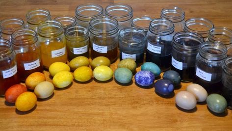 How To Dye Easter Eggs Naturally | Herbal Academy | Chemical dyes are not the only option when decorating Easter eggs. Here's how to use herbs and common food to dye Easter eggs naturally! Natural Easter Eggs, Dye Easter Eggs, Naturally Dyed Easter Eggs, Herbal Academy, Colored Eggs, Egg Dye, Easter Egg Dye, Spring Equinox, Egg Crafts