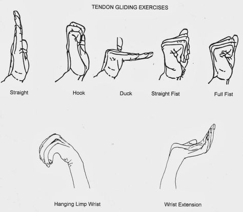 World of occupational therapy: Nerve and Tendon Gliding Exercise Hand Therapy Exercises, Carpal Tunnel Exercises, Wrist Exercises, Ulnar Nerve, Physical Therapy Assistant, Occupational Therapy Assistant, Therapy Exercises, Finger Exercises, Occupational Therapy Activities