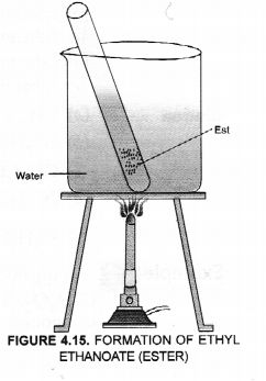 Previous Year Question Papers for CBSE Class 10 Science Chapter 4 Carbon and Its Compounds - Learn Insta #Class10science #Previousquestionsforclass10sciencechapter4 Carbon And Its Compounds, Class 10 Science, Cbse Class 10, Chemistry Education, Previous Year Question Paper, Class 10, Question Paper, Questions And Answers, Previous Year