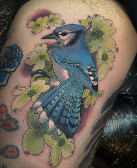 First one from my Guest spot @keyholetattoo on @matthewharpertattoo . Blue jay with dogwood flowers! . Would love to do more birds and animals 🥰🥰 . aimeetattoos@gmail.com . Thanks to my sponsors @barberdts @eternalink @tatsoul for always making my tattoos extra bright and crispy ✨✨✨ My Tattoos, Couple Activities, Dogwood Flowers, Love Tattoos, Blue Jay, Do More, I Tattoo, Tattoo Artists, Jay