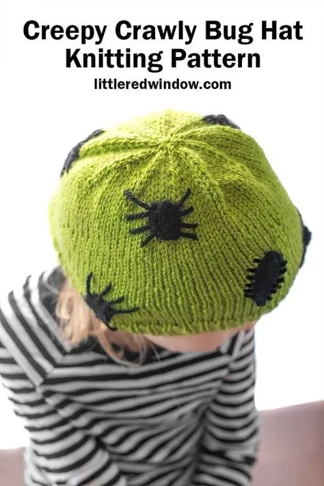 Knitted Spider, Bug Crochet, Bug Hats, Spider Hat, Halloween Knitting Patterns, Halloween Knitting, Double Pointed Knitting Needles, Window Crafts, Baby Hat Knitting Pattern