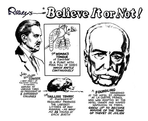 Robert Ripley: Believe It or Not High School Newspaper, William Randolph Hearst, Ripley Believe It Or Not, Small Town America, Research Assistant, Writing Styles, Life Magazine, Travel Adventure, Yearbook