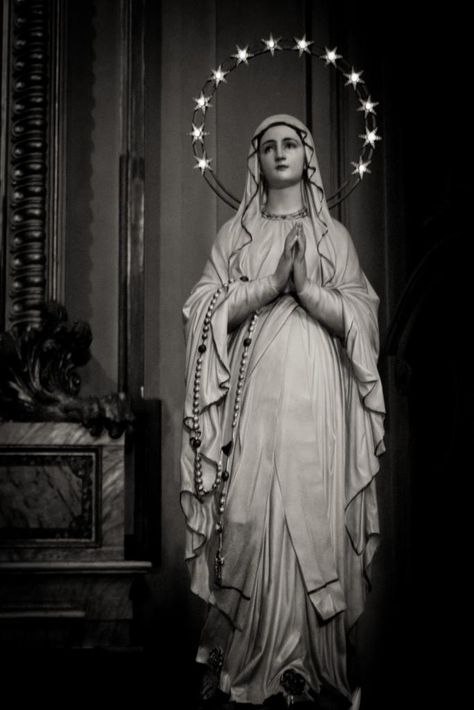 Blessed Mother Statue, Catholic Doctrine, Mother Mary Images, Body Of Christ, Virgin Mary Statue, Mama Mary, Mary Statue, Queen Of Heaven, Catholic Images