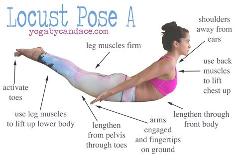 How to do Locust Pose #yoga #asana #yogi #yogini #namaste #om #aum #poses #pose #meditation #health Locust Pose, Grasshopper Pose, Arm Balance, Yoga Relaxation, Yoga Ashtanga, Ashtanga Vinyasa Yoga, Lululemon Shirt, Arm Balances, Sup Yoga