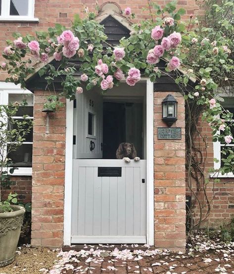 Cottage Front Doors, Exterior Door Designs, Cottage Windows, Cottage Porch, English Country Cottage, Decor Steals, Victorian Cottage, Entrance Porch, House On The Rock