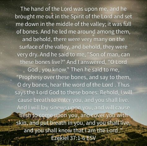 Dry Bones Ezekiel 37:1-6 Dry Bones Scripture, Ezekiel 37 Dry Bones, Ezekiel Dry Bones, Ezekiel 37, Dry Bones, Worship The Lord, Morning Blessings, Bible Scriptures, Christian Quotes