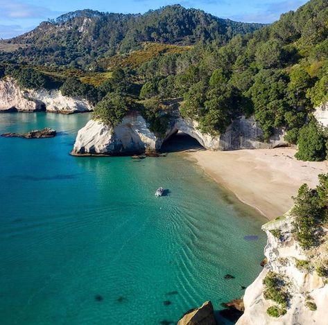 Cathedral Cove New Zealand, Cathedral Cove, New Zealand Landscape, Painting Reference, Matte Painting, Filming Locations, Reference Images, Nature Aesthetic, Narnia