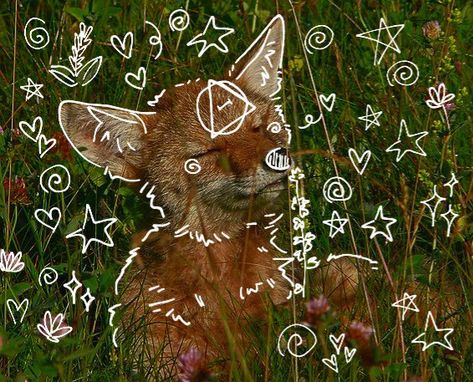 Coyote Therian Aesthetic, Coyote Therian Pfp, Coyote Therian Mask, Therian Coyote, Animals Pfp, Therian Friends, Coyote Therian, Coyote Art, Tiktok Pfps