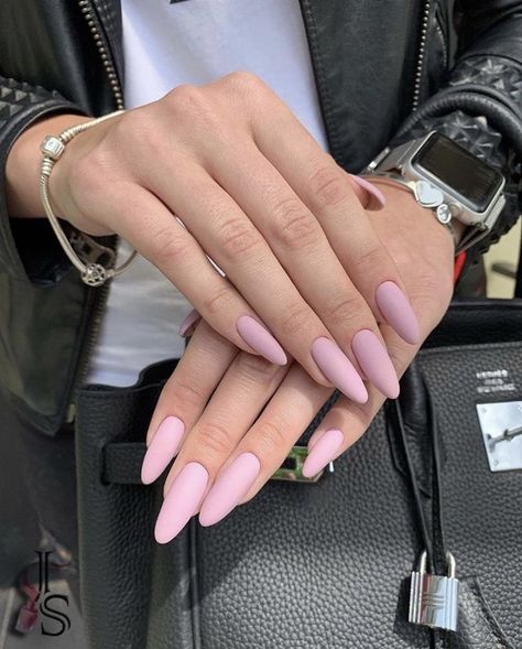 Pink Matte Nails, Hard Gel Nails, Cute Nails For Fall, Pointed Nails, Vibrant Nails, Casual Nails, Rose Nails, Soft Nails, Winter Nail Art