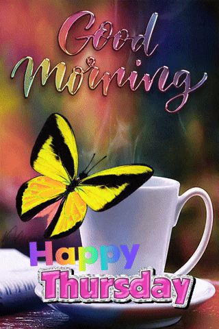 Good Thursday Morning GIF - Good thursday morning - Discover & Share GIFs Thursday Gif, Good Thursday Morning, Thursday Morning Quotes, Happy Thursday Morning, Good Morning Happy Thursday, Good Thursday, Good Morning Thursday, Thursday Quotes, Thankful Thursday