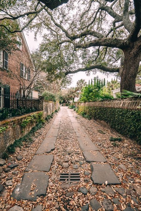 The Notebook Charleston Sc, Charleston South Carolina Aesthetic, Charleston Living, Charleston Trip, Charleston Travel Guide, Charleston Vacation, Charleston Art, South Carolina Travel, Charleston Style