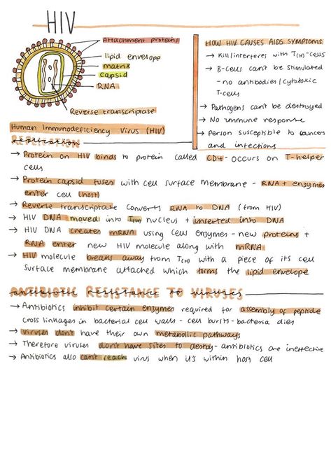 Alevel Biology, Cell Biology Notes, Speech Therapy Activities Elementary, Notes Biology, Biochemistry Notes, Biology Revision, Mcat Study, Study Chemistry, Study Biology