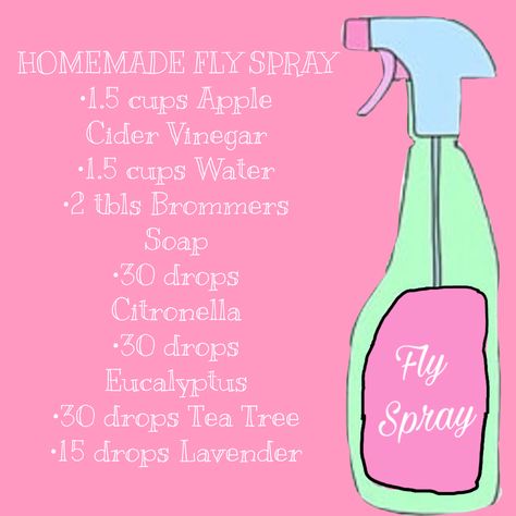 Horse Detangler Diy, Horse Fly Spray Recipe, Diy Fly Spray For Horses, Horse Fly Repellent For People, Homemade Fly Spray, Horse Fly Spray, Fly Spray For Horses, Apple Cup, Fly Spray