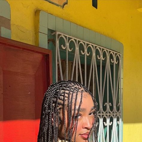 Fairy Hairstyle, Keys Braids, Black Hair With Brown Highlights, Single Braids Hairstyles, Alicia Keys Braids, Hair Braid Designs, Braiding Styles, Single Braids, My Muse