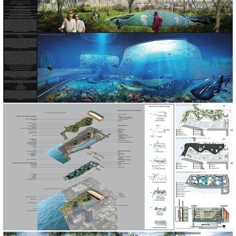 Architects envision a new public aquarium and waterfront park for NYC Project Summary, Architectural Thesis, Surf Cafe, Underwater Park, Aquarium Architecture, Floating Ring, Public Aquarium, Water World, Pathway Landscaping