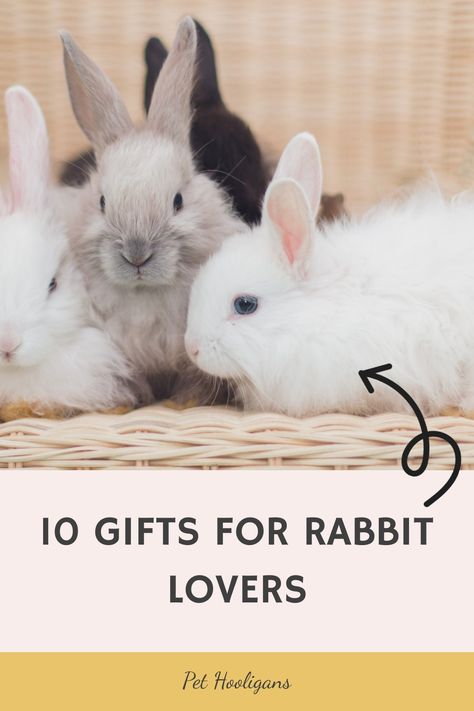 Explore a handpicked selection of 12 thoughtful gift ideas perfect for rabbit enthusiasts. Find the ideal gift for the special person in your life who loves bunnies, from our wide range of options. Mottos To Live By, Bunny Mom, Potty Training Puppy, Rabbit Lover, Animal Antics, Cute Cat Gif, Bunny Gifts, Bunny Print, Bunny Decor