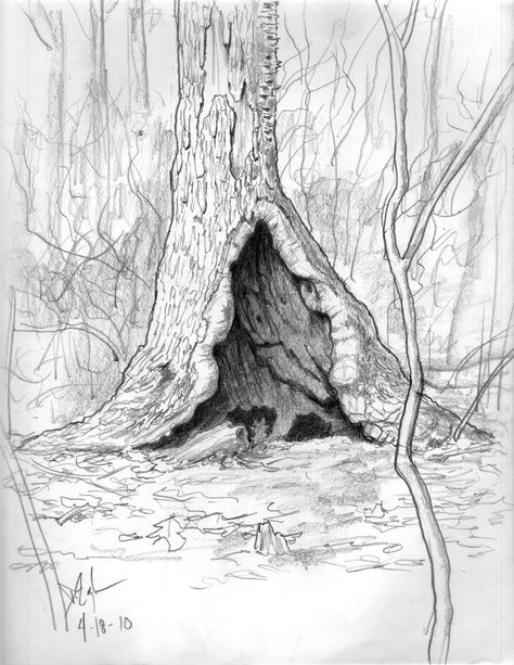 Hollow Tree, Once A Month, Dark Art Drawings, Tree Stump, Tree Drawing, Nature Journal, Trees And Shrubs, Dark Art, In Nature