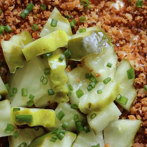 MacKenzie Smith on Instagram: "This Cheesy Fried Pickle Dip is just what you need this football season! Crispy, tangy, and oh-so-creamy, this crowd-pleasing dip is made with my fav of all time @dukes_mayonnaise along with tons of pickle-y goodness. You’re going to be obsessed! #ad #trysometwang #dukesmayo Comment or DM me “ ​​🥒” to get the full recipe sent straight to your inbox! (My team and I will direct message links) 🥒Duke’s mayo 🥒cream cheese, room temp 🥒Dill Pickles, finely diced 🥒pic Fried Pickle Dip, Mackenzie Smith, Pickle Dip, Dill Pickles, Fried Pickles, Pickle Juice, White Cheddar, Fresh Dill, Tangier