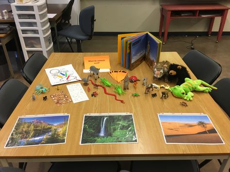 Provocation Table - Care for Animals Pet Provocations, Animals Provocation, Provocation Table, Reggio Amelia, Provocations Reggio, Continuous Provision, Reggio Classroom, Reggio Emilia, Animal Theme