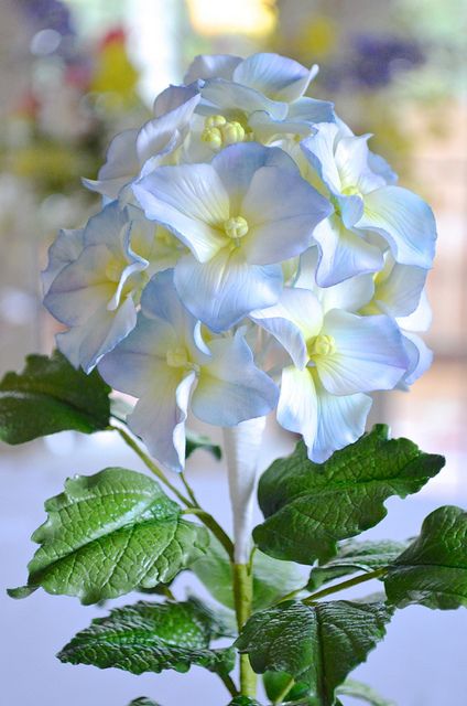 Wired flower paste Hydrangea | I love Hydrangeas, will be ma… | Flickr Gum Paste Hydrangea, Sugar Paste Flowers, Sugar Flowers Tutorial, Diy Wedding Cake, Icing Flowers, Rose Cupcakes, Gum Paste Flowers, Fondant Flowers, Wire Flowers