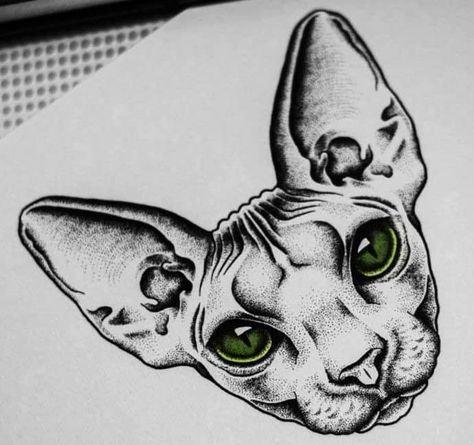 Sphynx Cat Drawing Tattoo, Cat Drawing Tattoo, Sphynx Cat Drawing, Sphinx Cat Tattoo, Sphynx Tattoo, Sphinx Art, Snake Sleeve, Chest Tattoo Designs Female, Fantastic Tattoo