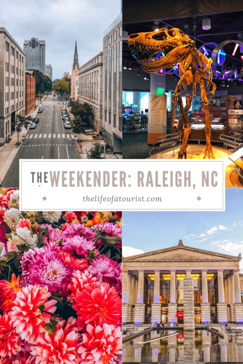 The Weekender: Raleigh, North Carolina - The Life of a Tourist Chinese Lantern Festival, Long Weekend Trips, North Carolina Travel, Greek Restaurants, Carolina Girl, Adventure Gifts, Raleigh North Carolina, 2024 Christmas, 2025 Vision